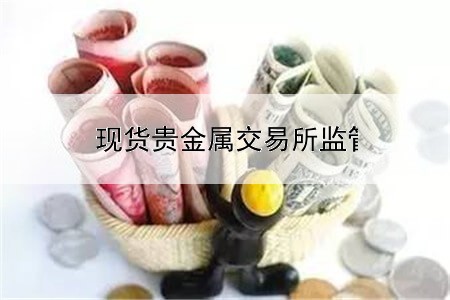  现货贵金属交易所监管平台