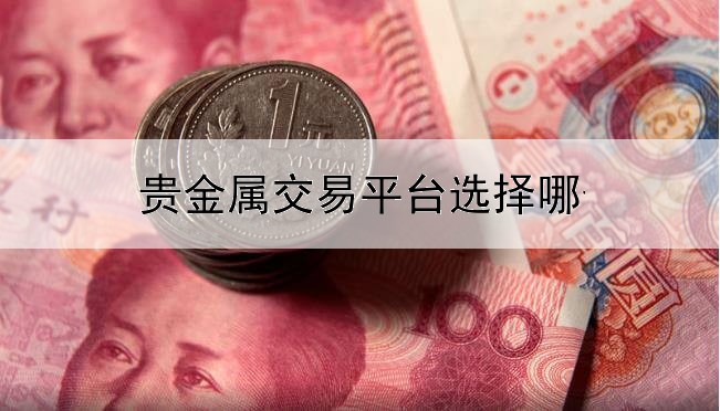 贵金属交易平台选择哪个公司