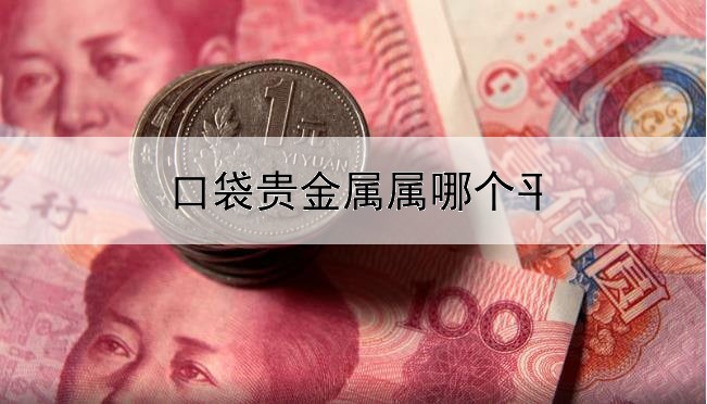  口袋贵金属属哪个平台的